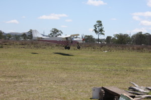 Savannah from Kilcoy was one of the 13 Savs that flew into the December fly in